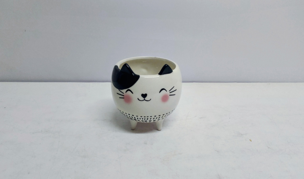 Cachepo Formato de Gato 12Cm Alt X 11Cm Diametro  - BB Festas Aluguel 