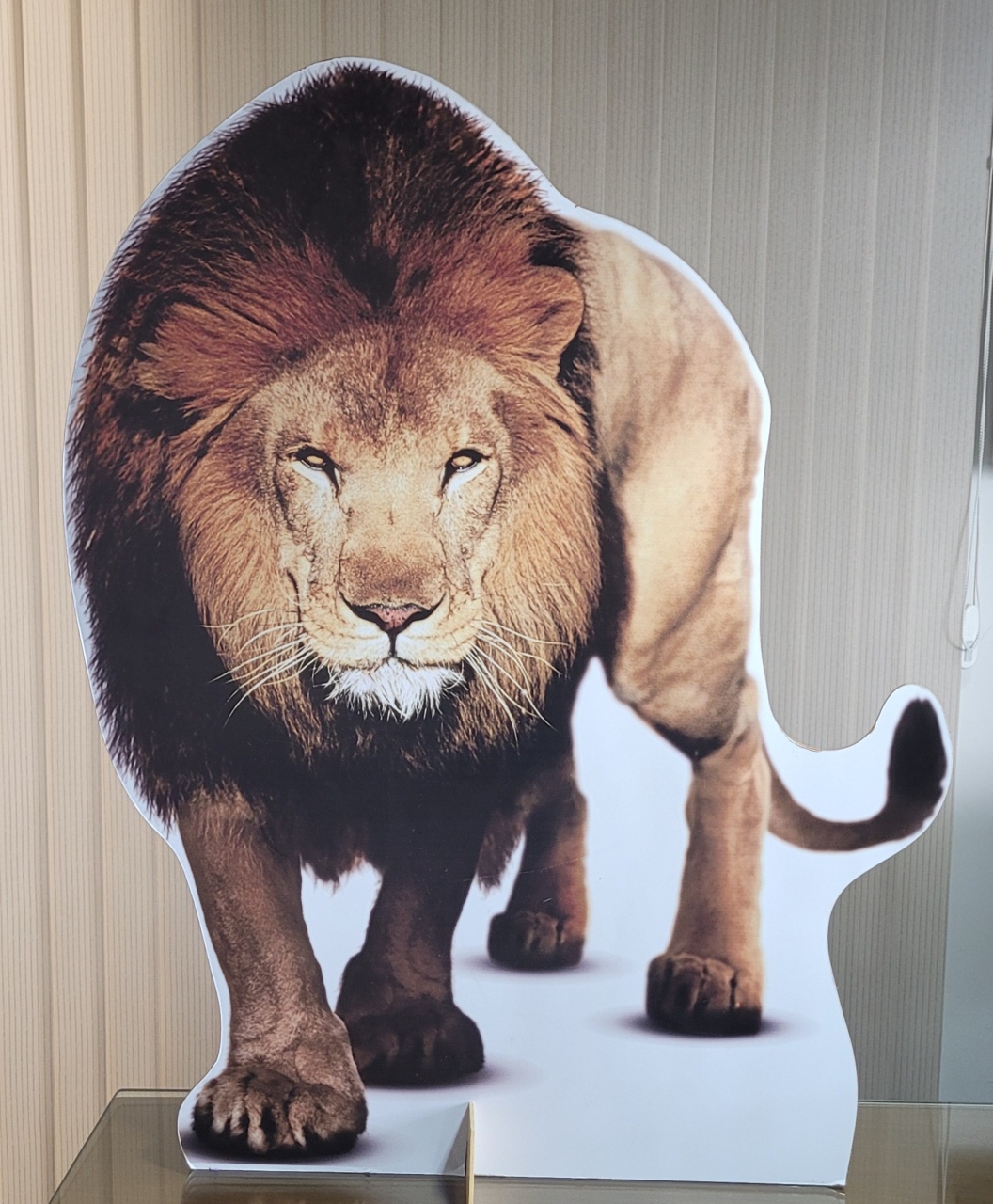 Safari - Leão G - lucia mendonça decoraçoes