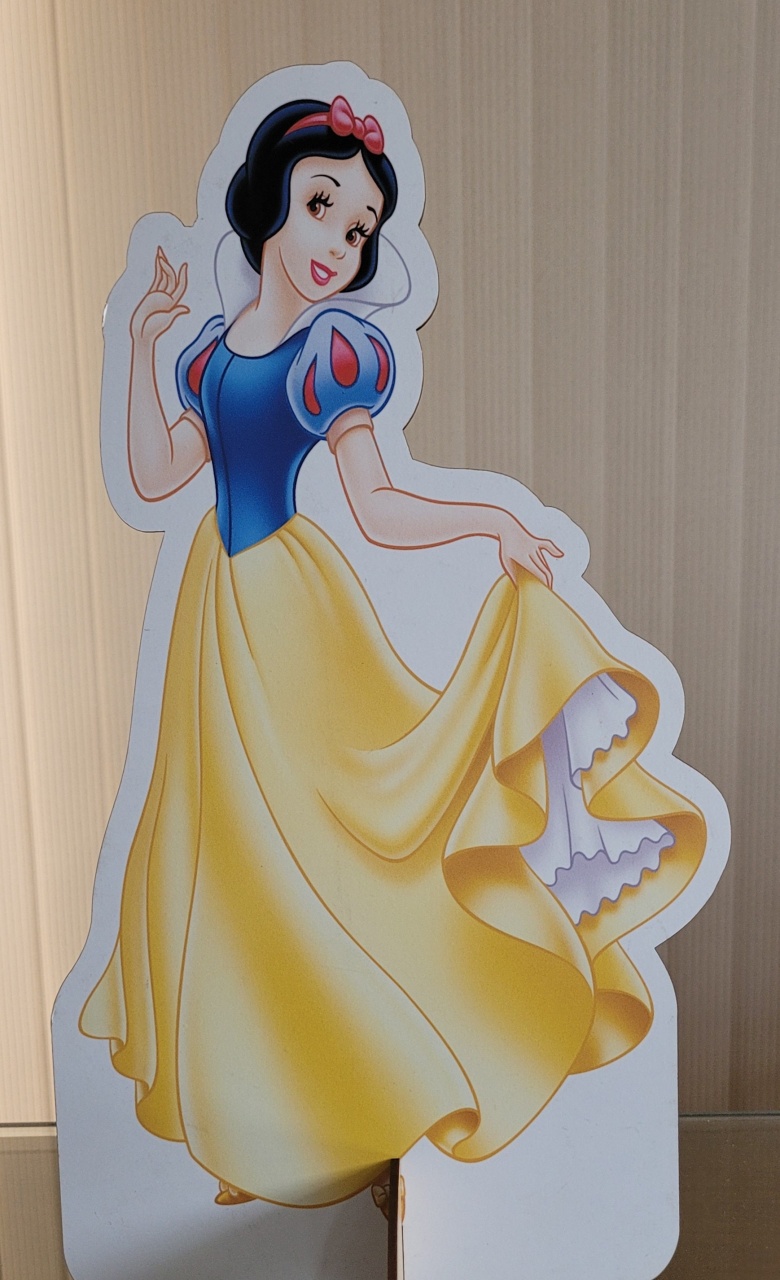 Princesa Branca de Meve - lucia mendonça decoraçoes