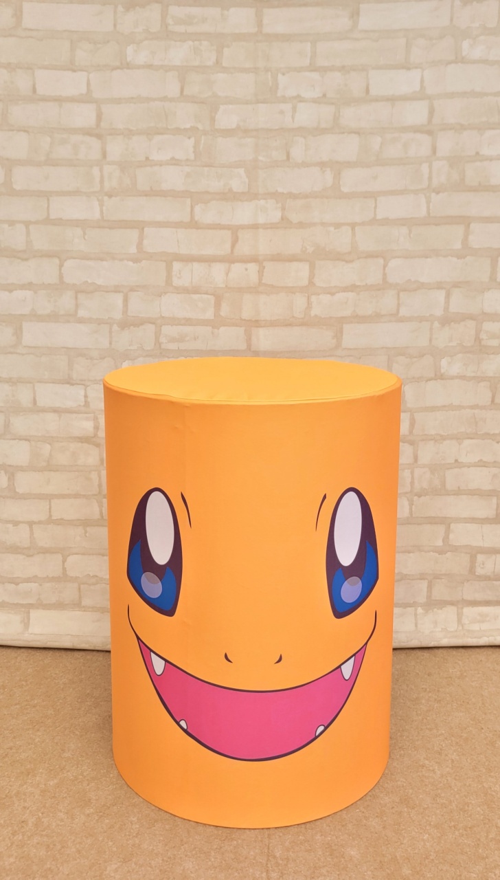 Capa Cilindro Pokemon - M - lucia mendonça decoraçoes