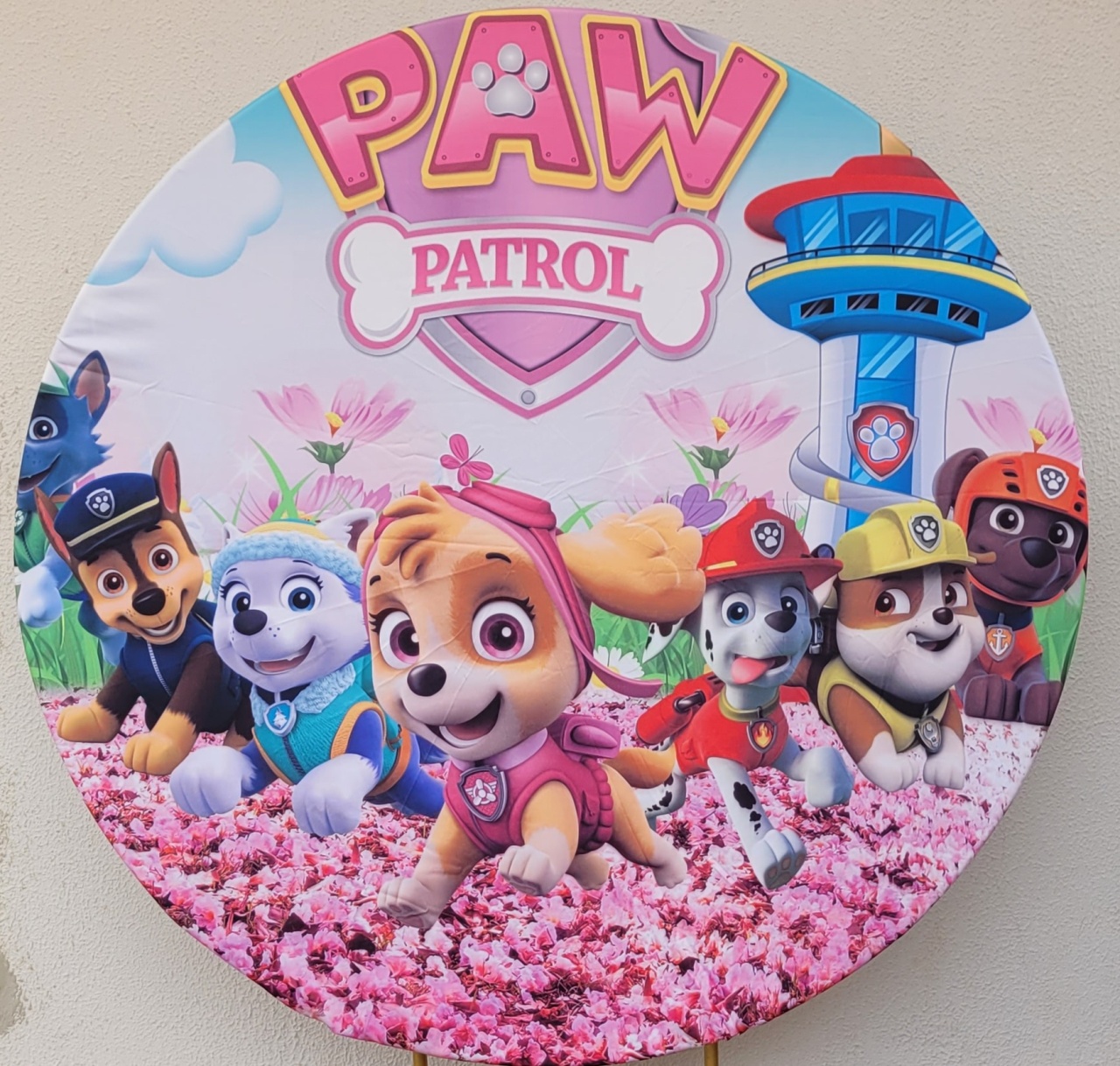 Capa Painel Patrulha Canina Rosa - lucia mendonça decoraçoes