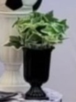 Arranjo Folhagem P + Vaso Preto P - lucia mendonça decoraçoes