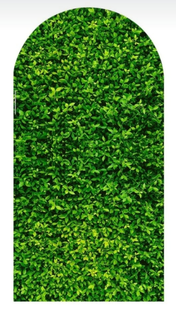 Capa  Romano-  Muro Inglês  - lucia mendonça decoraçoes
