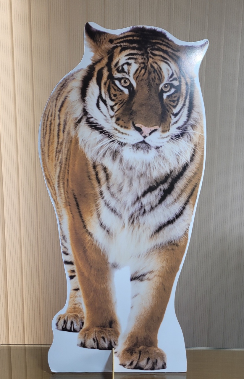 Safari - Tigre G - lucia mendonça decoraçoes