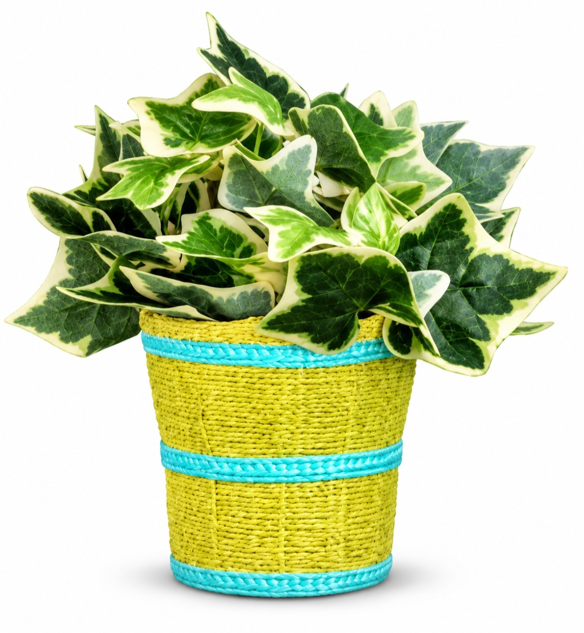 Vaso + Arranjo - Verde - lucia mendonça decoraçoes