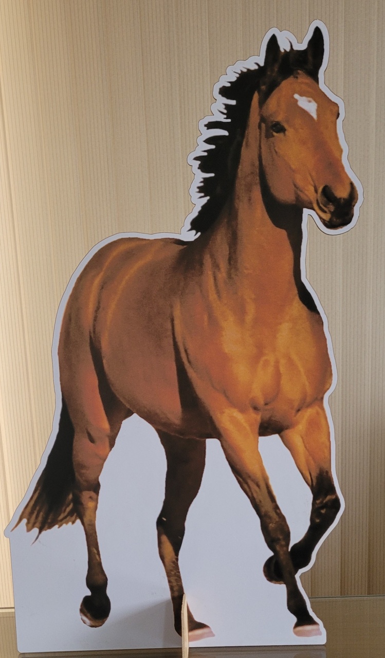 Country - Cavalo - lucia mendonça decoraçoes