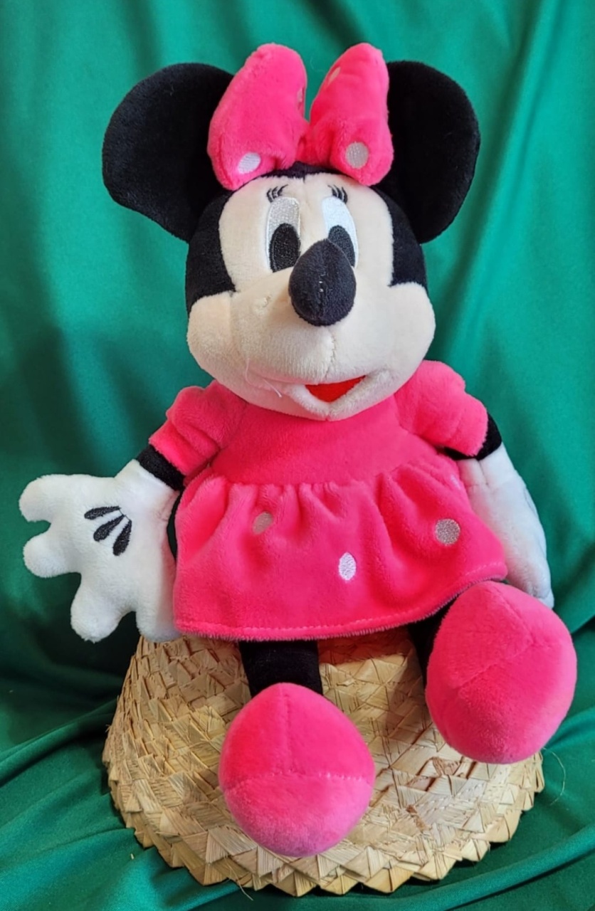 Minie Rosa - lucia mendonça decoraçoes