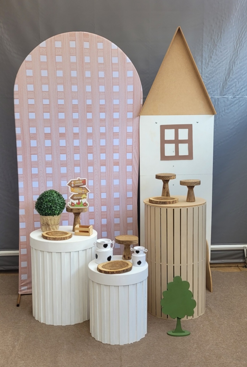 Fazenda 5 - lucia mendonça decoraçoes