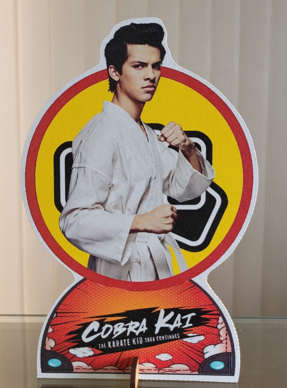 Cobra Kai 4 - lucia mendonça decoraçoes