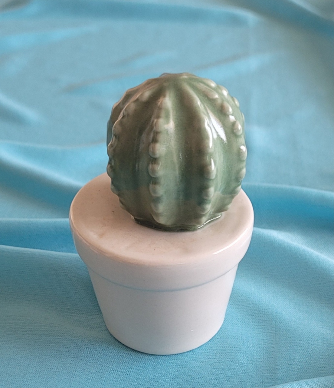 Mini Cacto - lucia mendonça decoraçoes