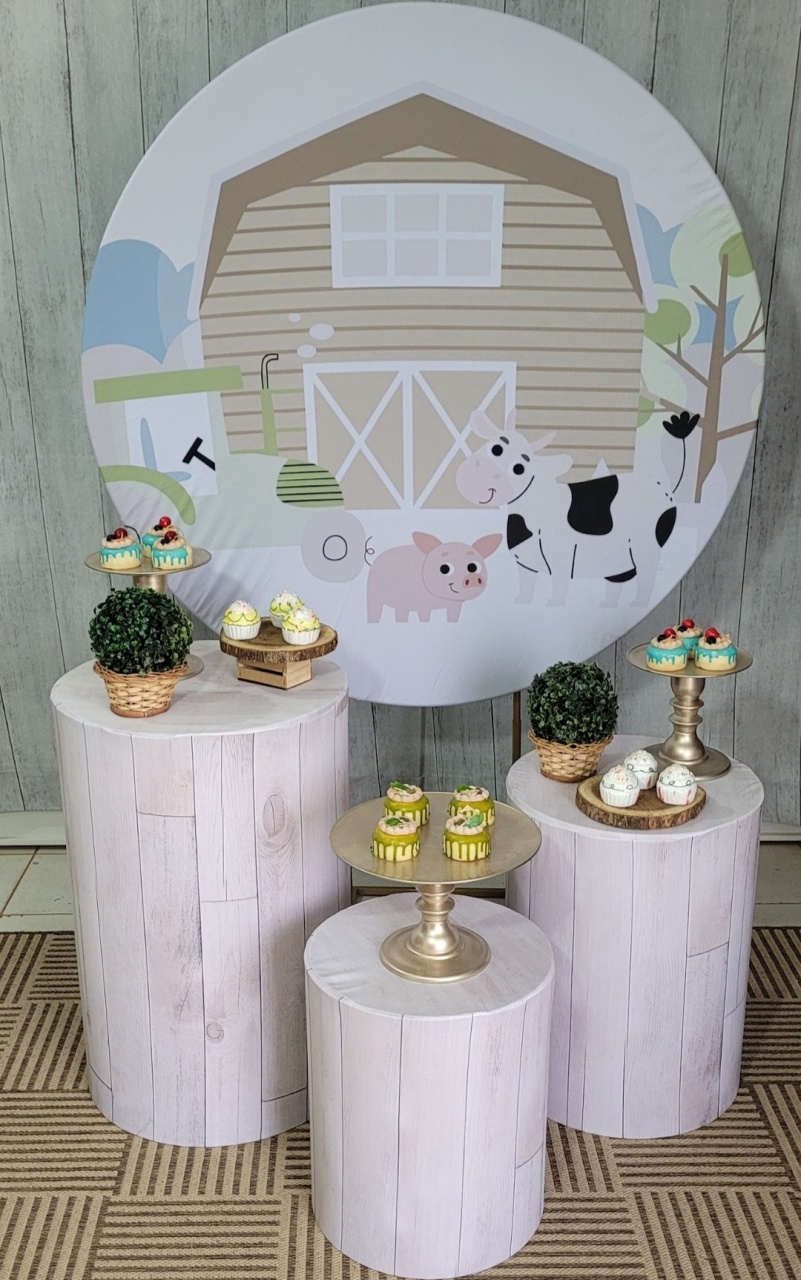 Fazendinha Boho P - lucia mendonça decoraçoes