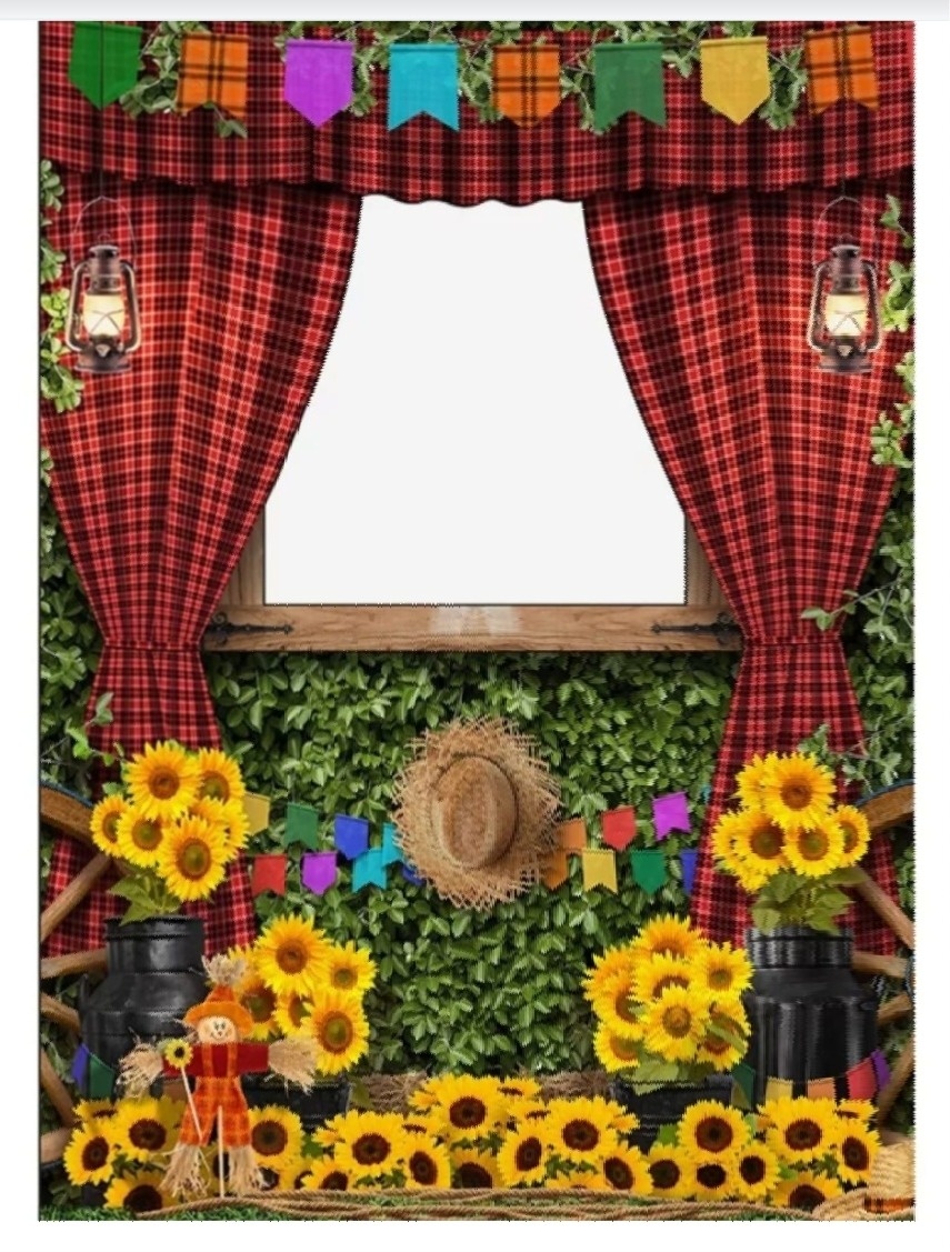 Capa Painel Festa Junina  - lucia mendonça decoraçoes