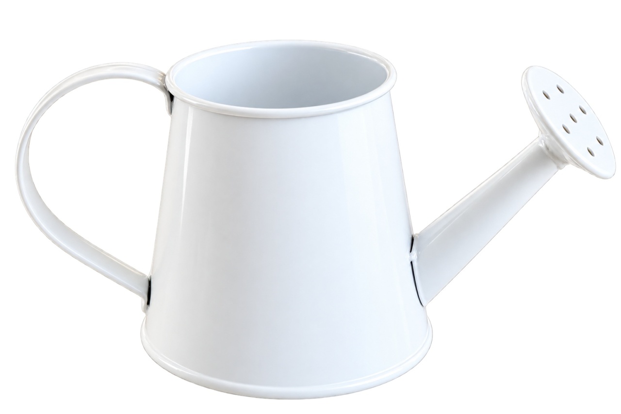 Vaso Regador Pp - lucia mendonça decoraçoes