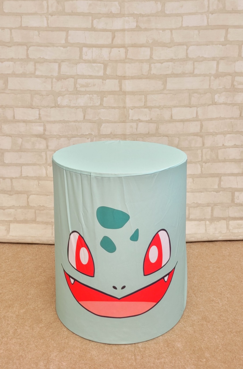 Capa Cilindro Pokemon - P - lucia mendonça decoraçoes