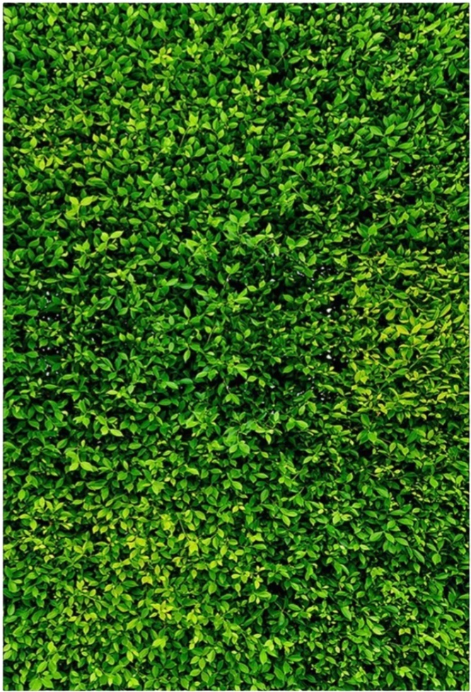 Capa Painel Retangular - Muro Inglês - lucia mendonça decoraçoes