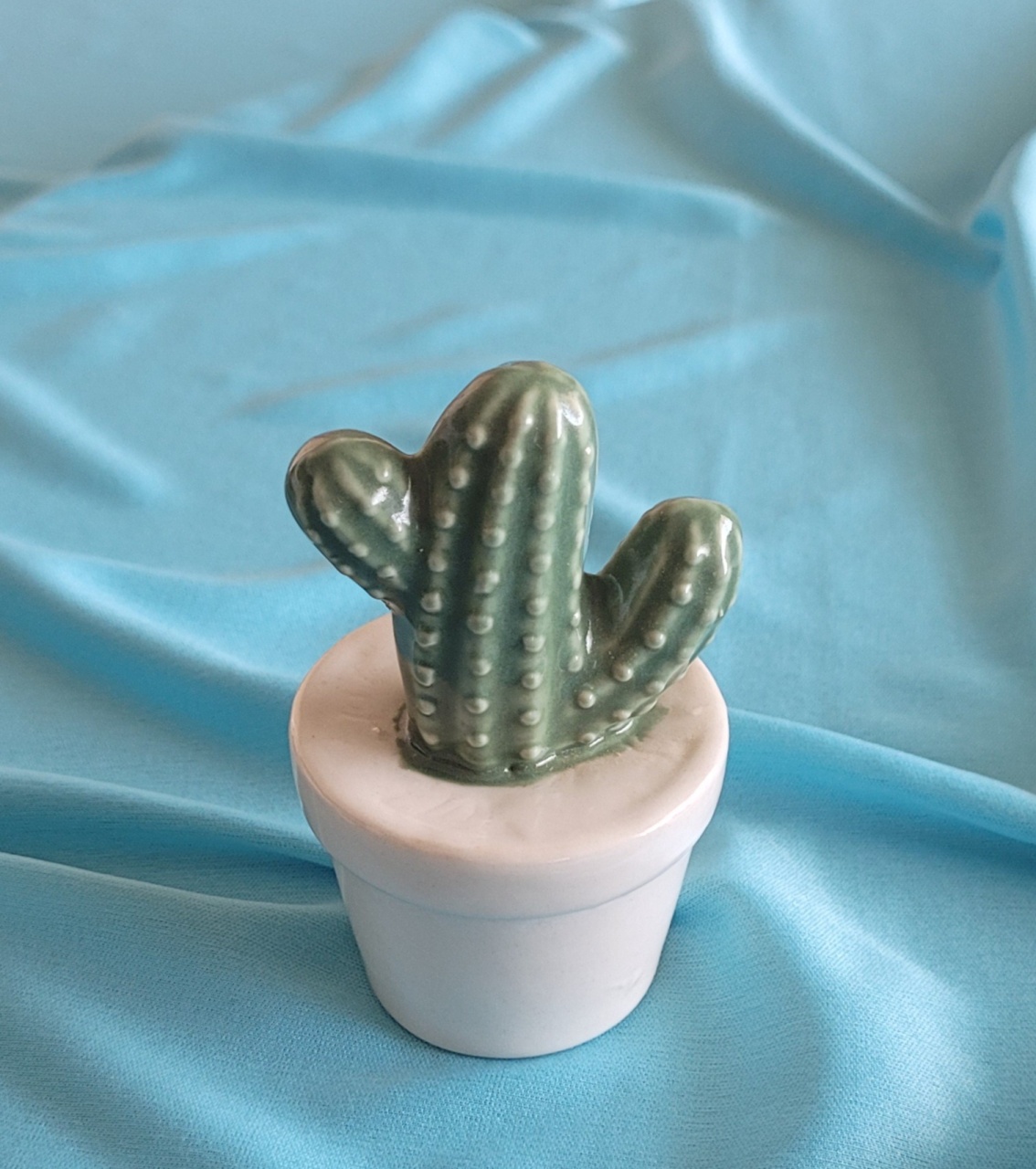 Cacto P - lucia mendonça decoraçoes