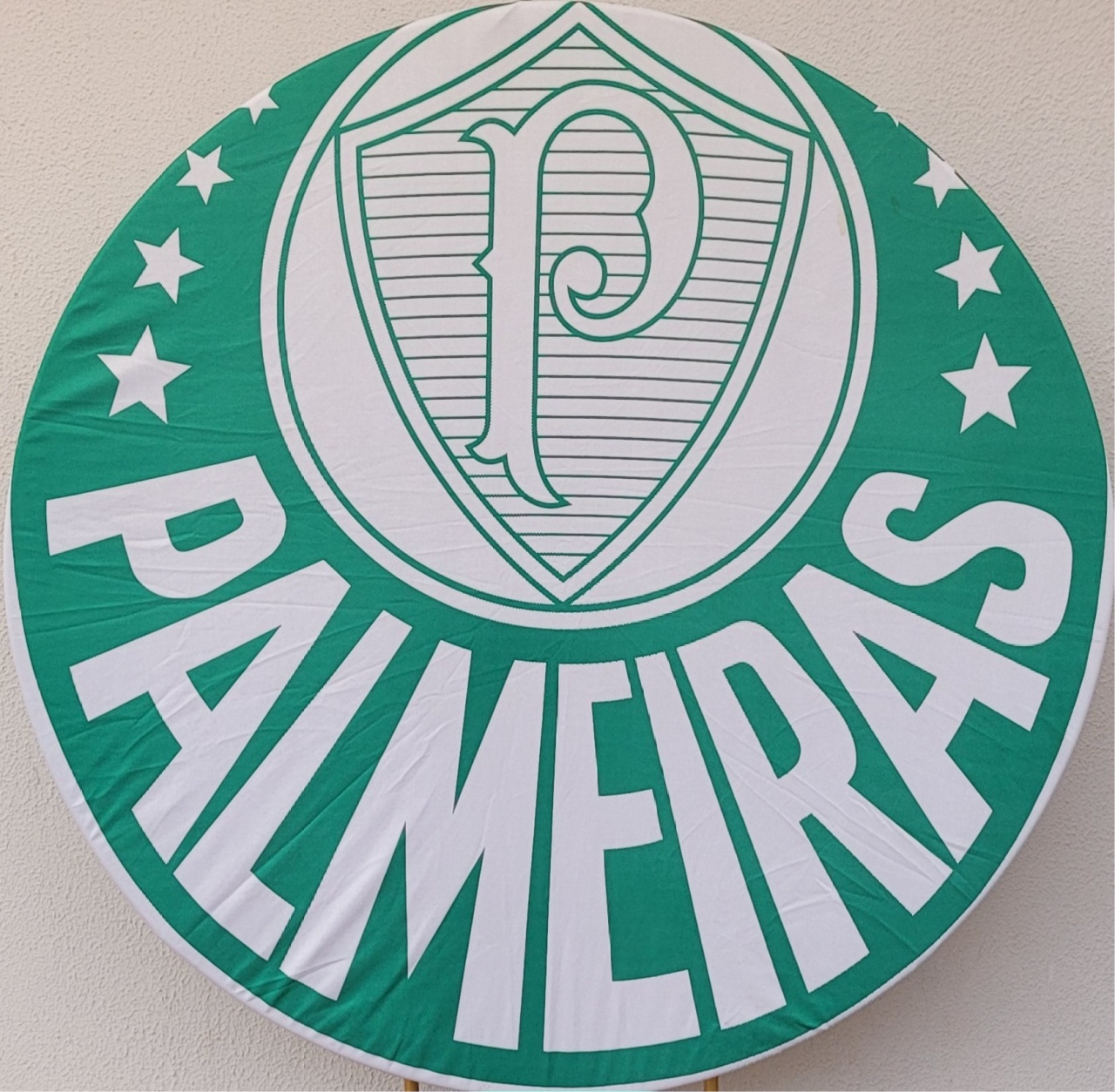 Capa Painel Palmeiras  - lucia mendonça decoraçoes