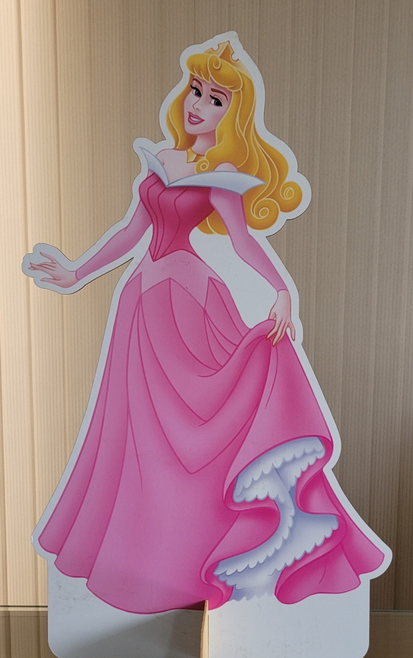 Princesa Aurora M - lucia mendonça decoraçoes
