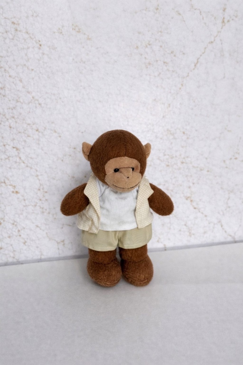 Macaco Safari - Brenda silva nascimento 