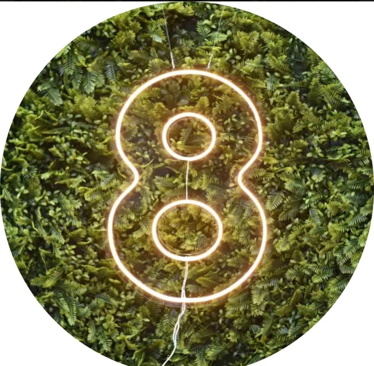 Led 8 - Brenda silva nascimento 