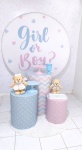 Combo Infantil Chá Revelação Boy Girl - imagem 2