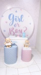 Combo Infantil Chá Revelação Boy Girl - imagem 1