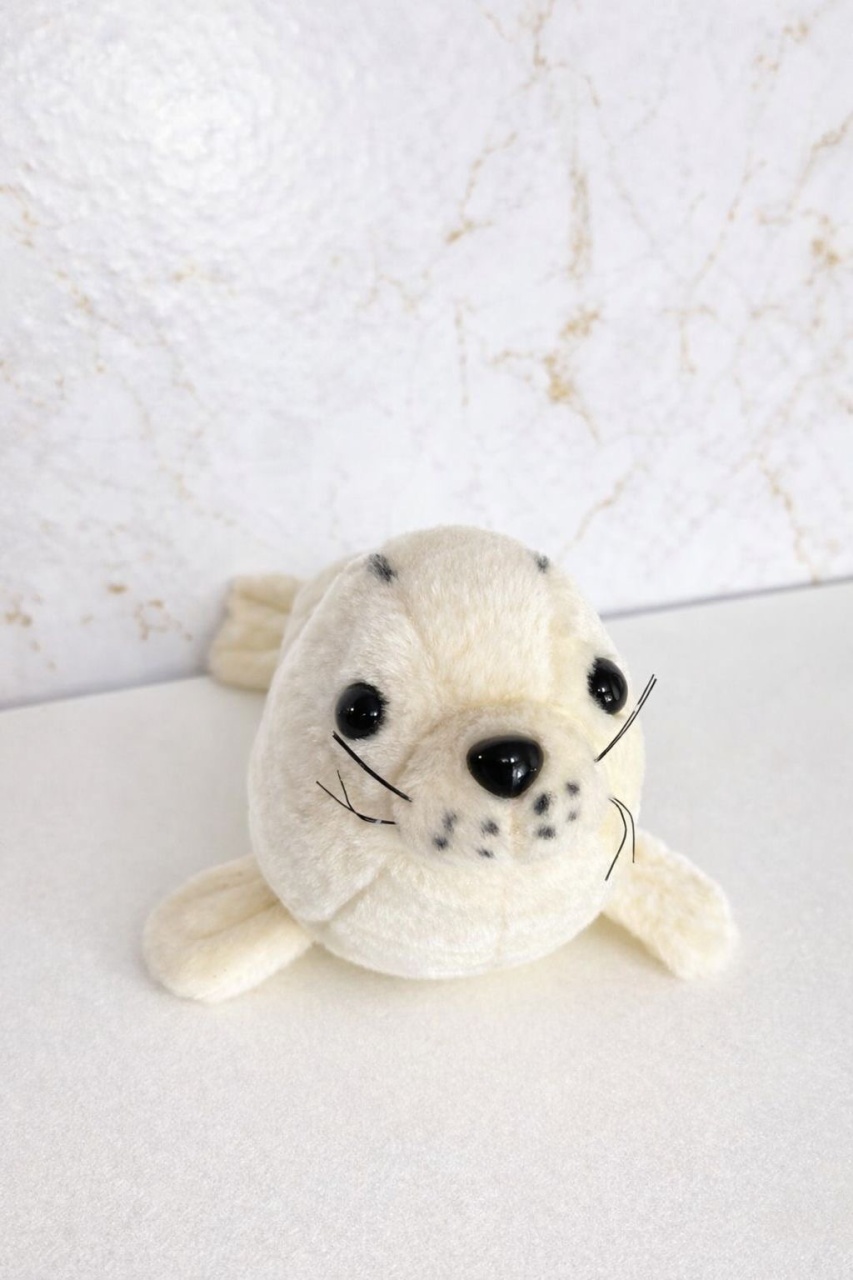 Foca - Brenda silva nascimento 