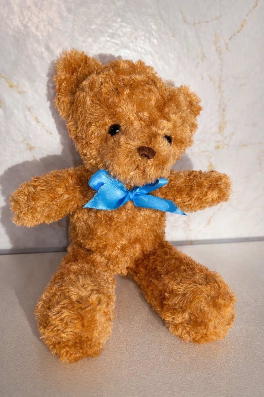 Urso Laço Azul  - Brenda silva nascimento 