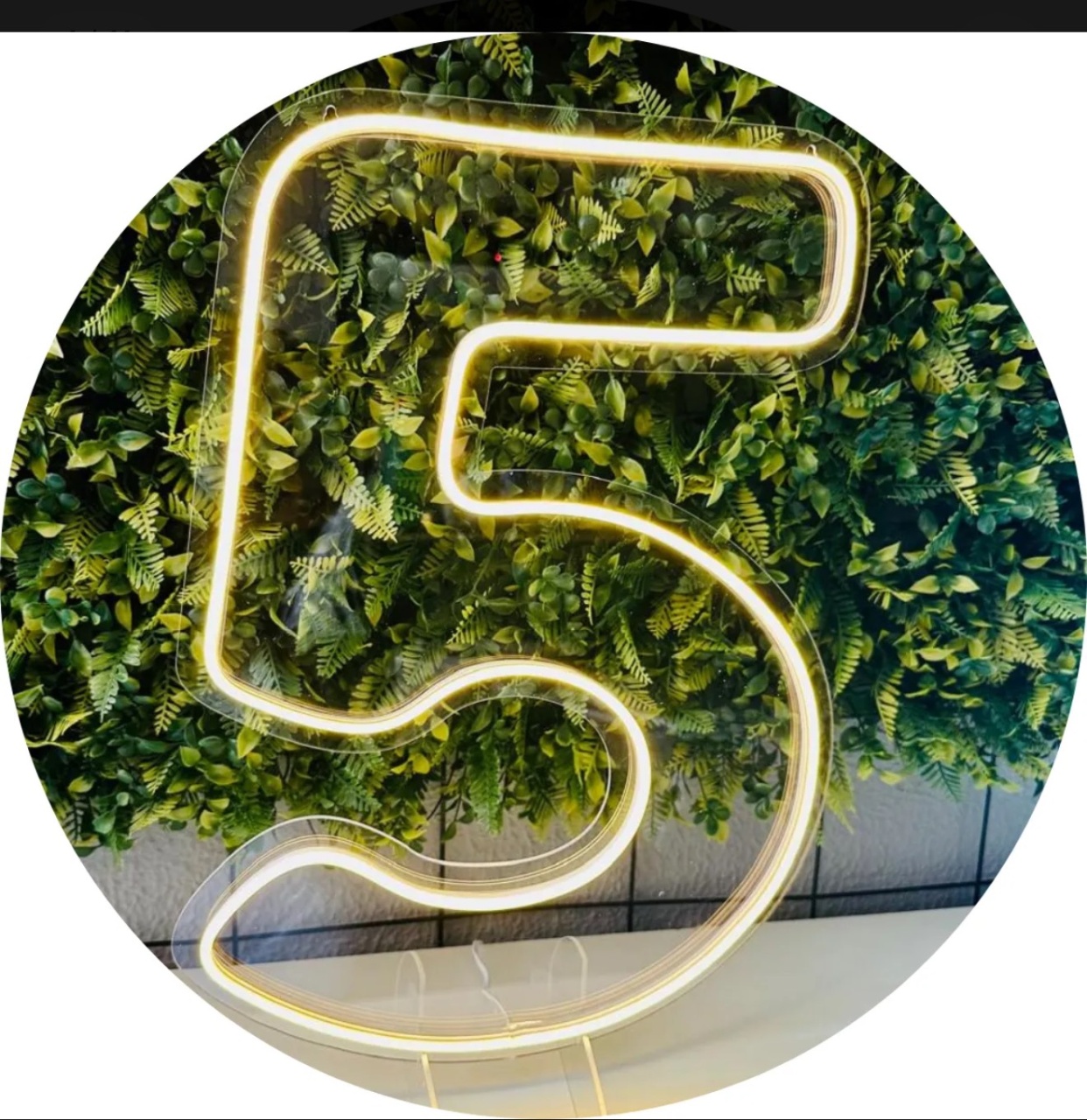 Led 5 - Brenda silva nascimento 