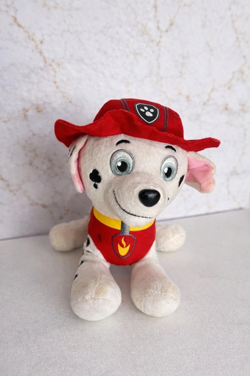 Patrulha Canina 3 - Brenda silva nascimento 
