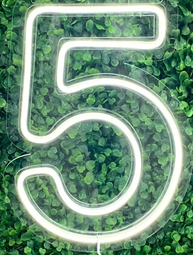 Numero 5 Led 50 Cm - DECORANDO SONHOS