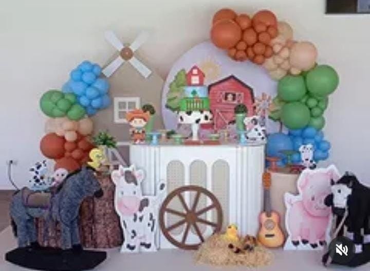 Fazendinha Seleiro - DECORANDO SONHOS