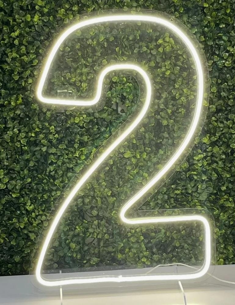 Número 2 Led 50 Cm - DECORANDO SONHOS