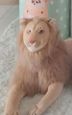 Leão Realista - DECORANDO SONHOS