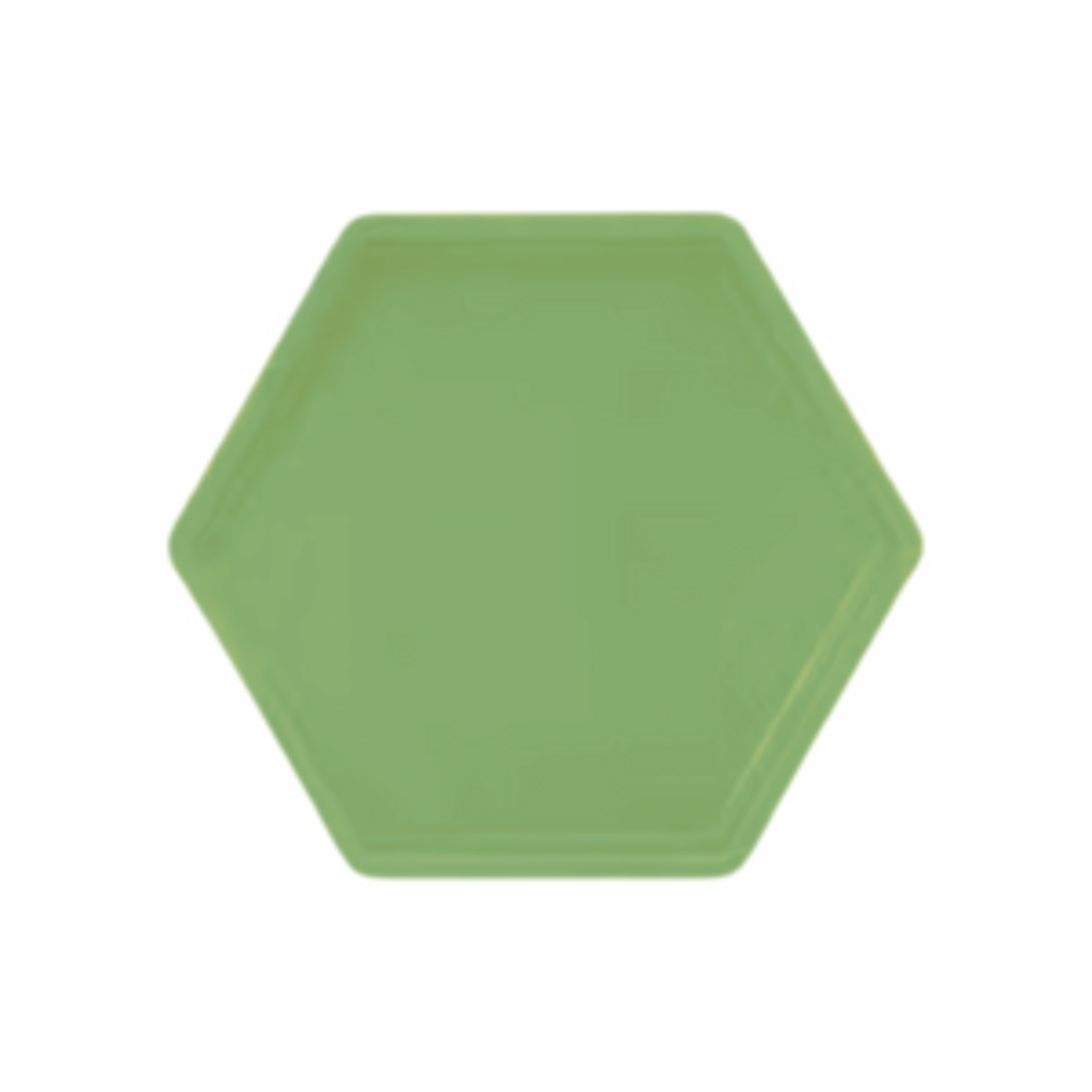 Bandeja Sextavada - Verde Eucalipto - Luci_rodrigues_decorações