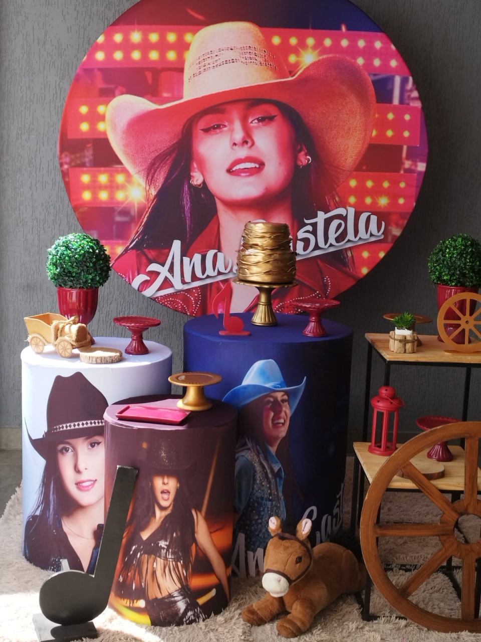 Ana Castela - Encantada Festas e Locações 