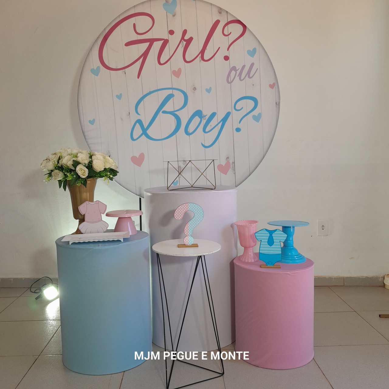 Kit Esmeralda Revelação Girl Boy - MJM PEGUE E MONTE
