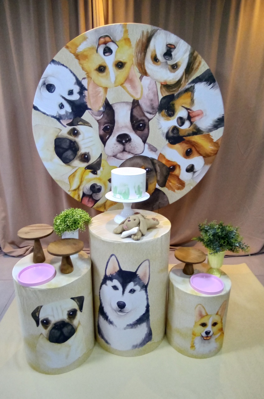 Pets 1 - Cenário Mágico Festa