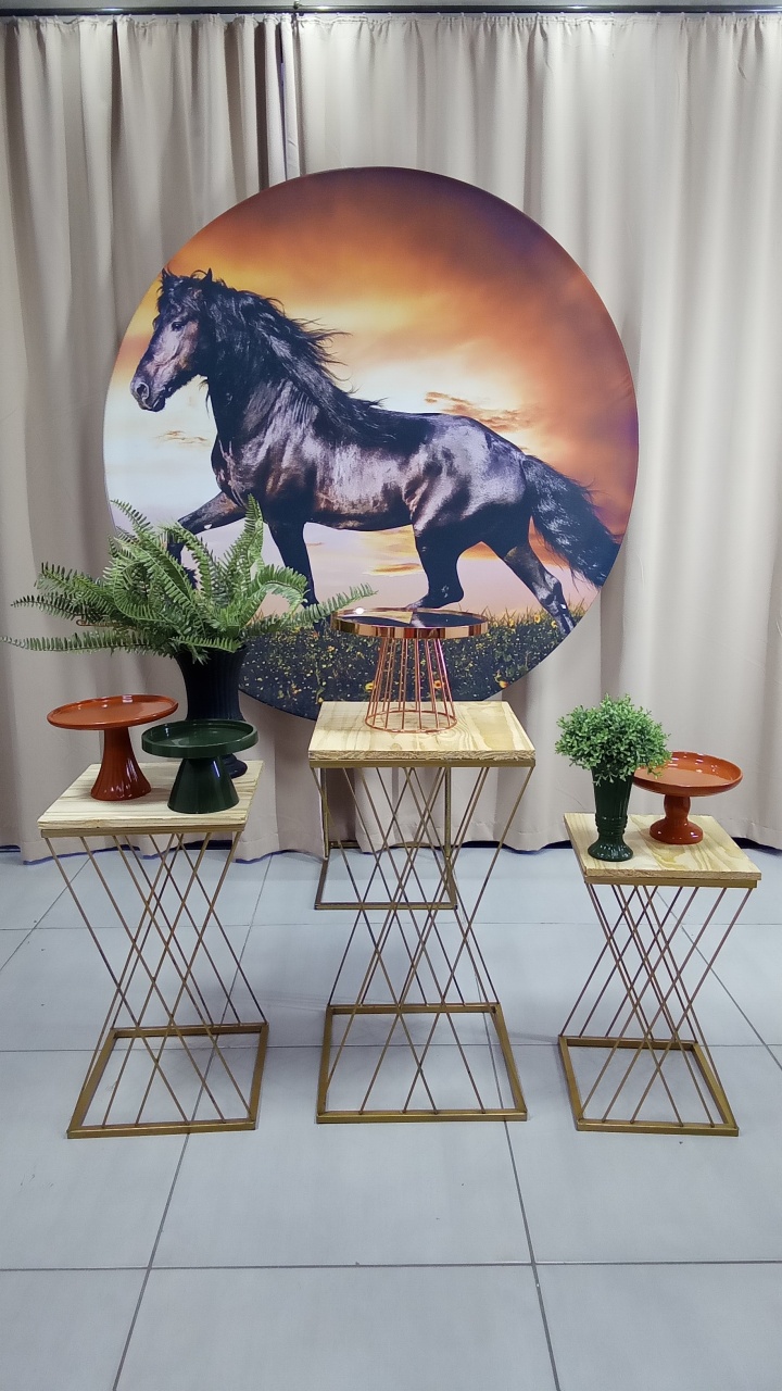 Cavalo 3 - Cenário Mágico Festa