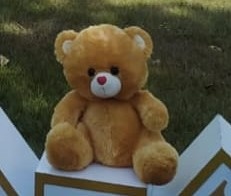 Urso Pelúcia Caramelo M - AMÔ ATELIÊ DECORAÇÃO