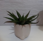 Vaso Cerâmica Corujinha P - imagem 2