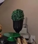 Planta Buxinho Artificial P - imagem 2