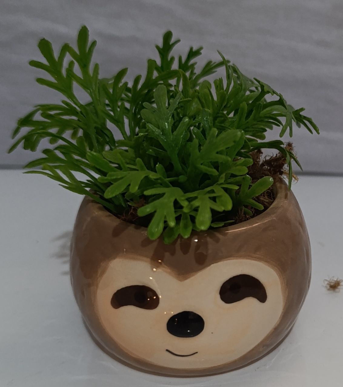 Mini Vaso Cerâmica Bicho Preguiça  - AMÔ ATELIÊ DECORAÇÃO