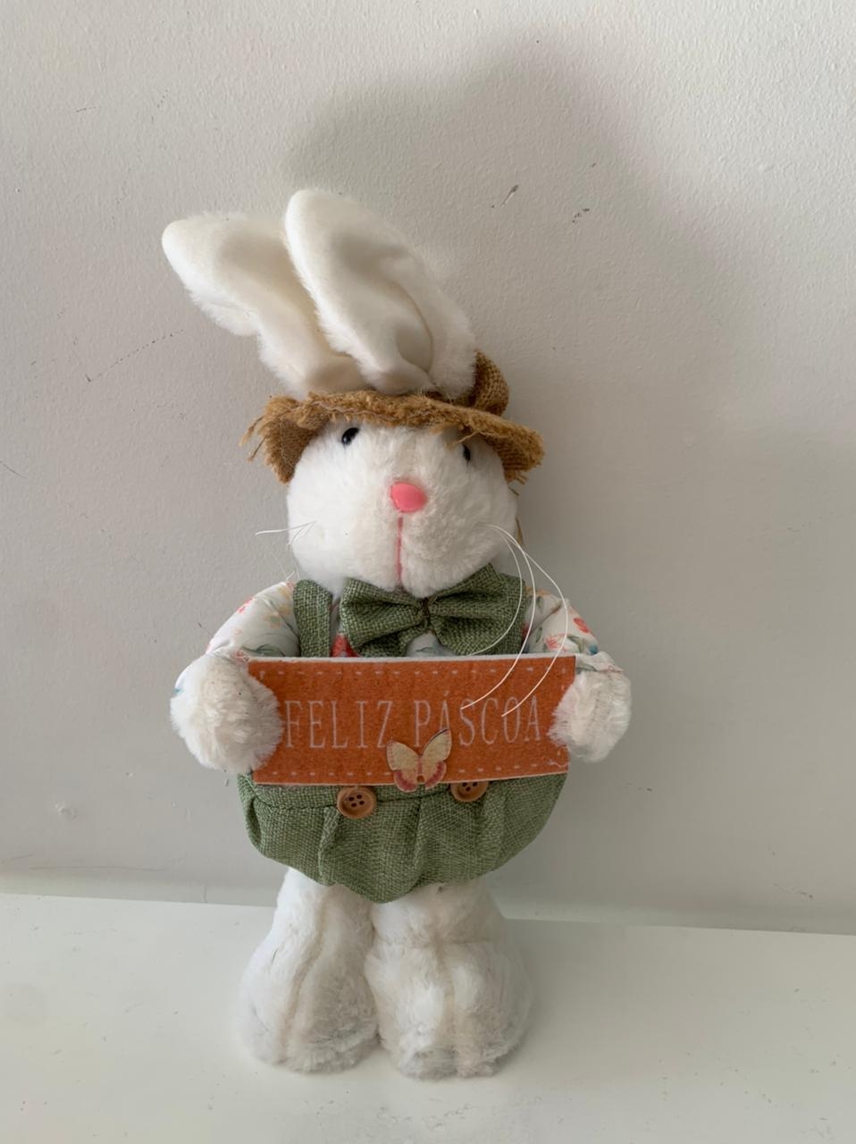 Pelucia Coelho Placa - suafesta.gyn