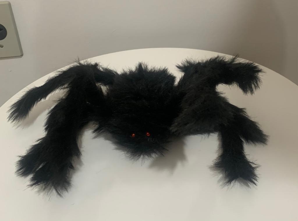 Aranha G - suafesta.gyn