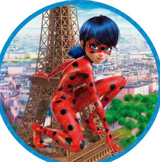 Painel Sublimado Lady Bug 1,5X1,5 - suafesta.gyn