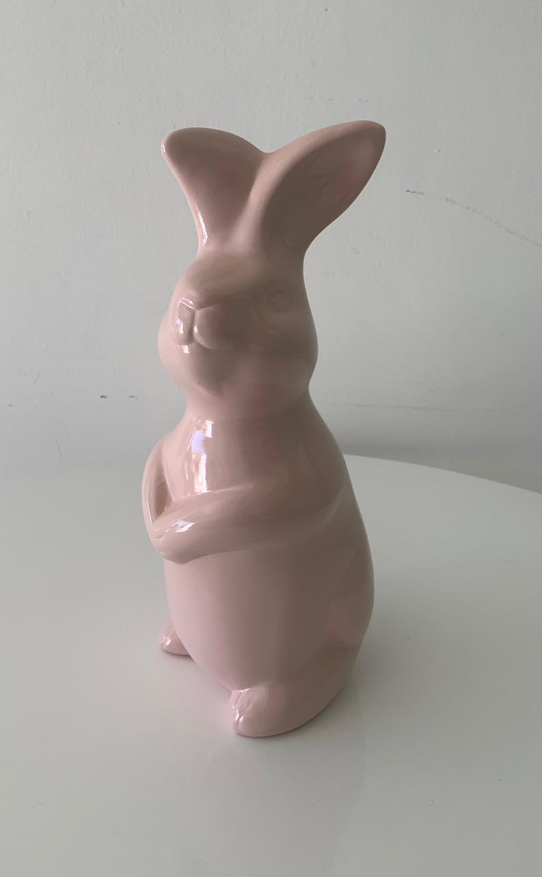Coelho Rosa - suafesta.gyn