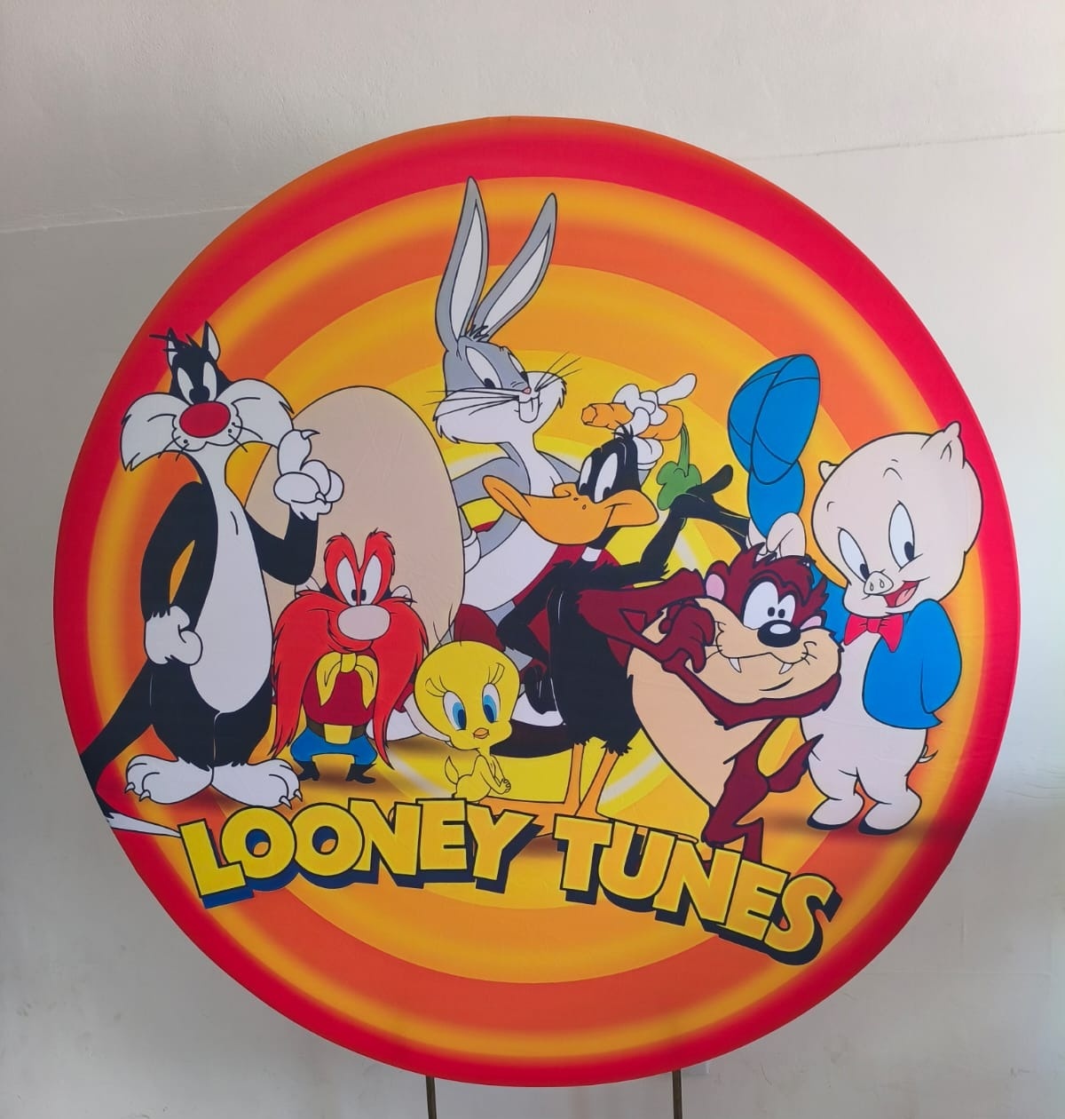 Capa Painel Redondo Looney Tunes - Thefest