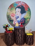 Kit Prata Branca de Neve - imagem 2