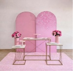 Feminino Rosa - imagem 2